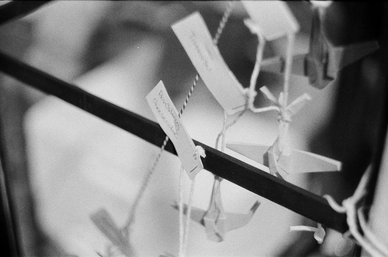 Lenka a Vojta na Točné