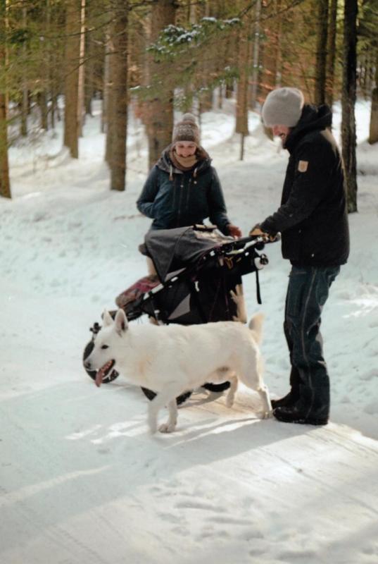 Novohradské hory, Zima 2019