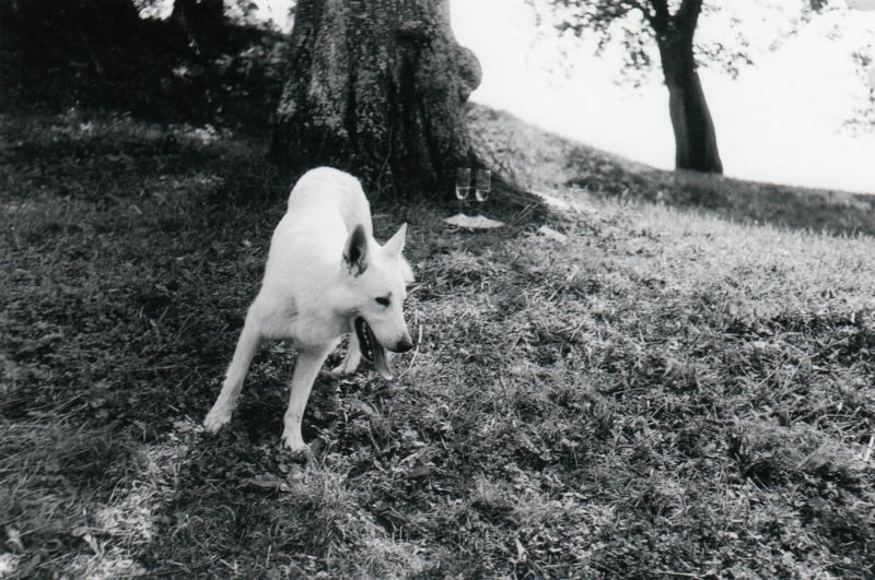 Svatba Zuzka a Jenda v Novohradkách