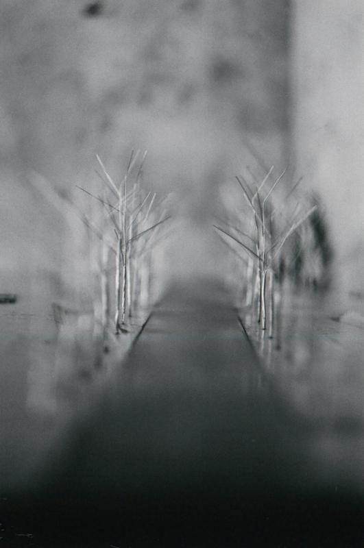 Svatba Zuzka a Jenda v Novohradkách