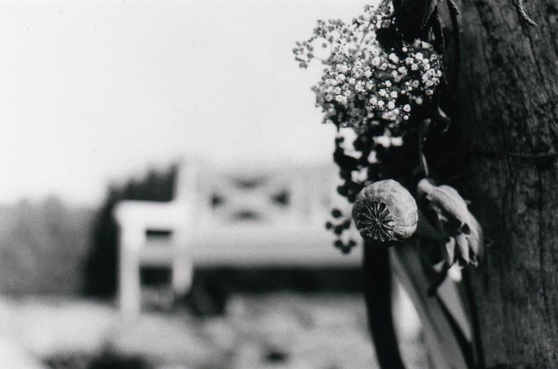 Svatba Zuzka a Jenda v Novohradkách